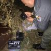 Operazione antibracconaggio in Calabria